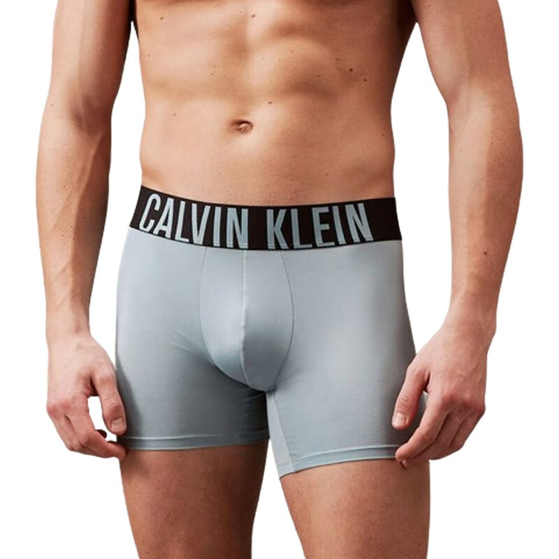 Calvin Klein(カルバンクライン)ck ボクサーブリーフ ボクサーパンツ 前閉じ 3枚組 セット ロゴ インテンスパワー メンズ 男性用 下着 Intense Power NB3612