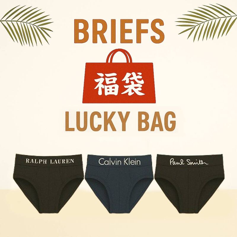 【福袋】ブランド ブリーフ 3枚組 パンツ メンズ 下着  アンダーウェア 男性用 セットミックス ランダム アソート おまかせ まとめ買い brief