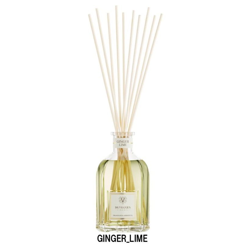 DR.VRANJES(ドットール・ヴラニエス)リードディフューザー ルームフレグランス スティック ジンジャーライム 250ml インテリア GINGER LIME FRV0014C