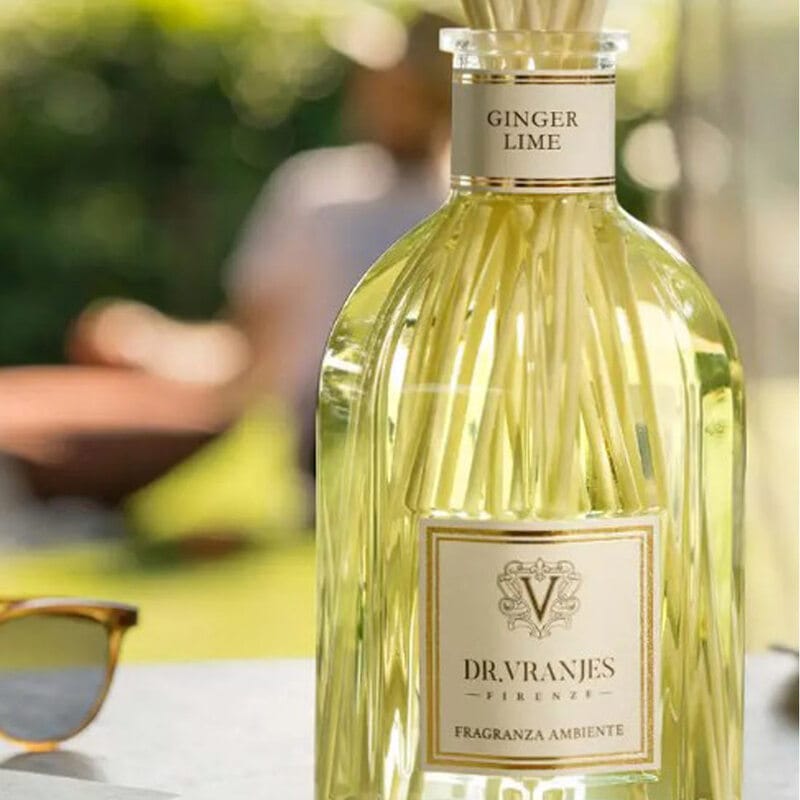 DR.VRANJES(ドットール・ヴラニエス)リードディフューザー ルームフレグランス スティック ジンジャーライム 250ml インテリア GINGER LIME FRV0014C