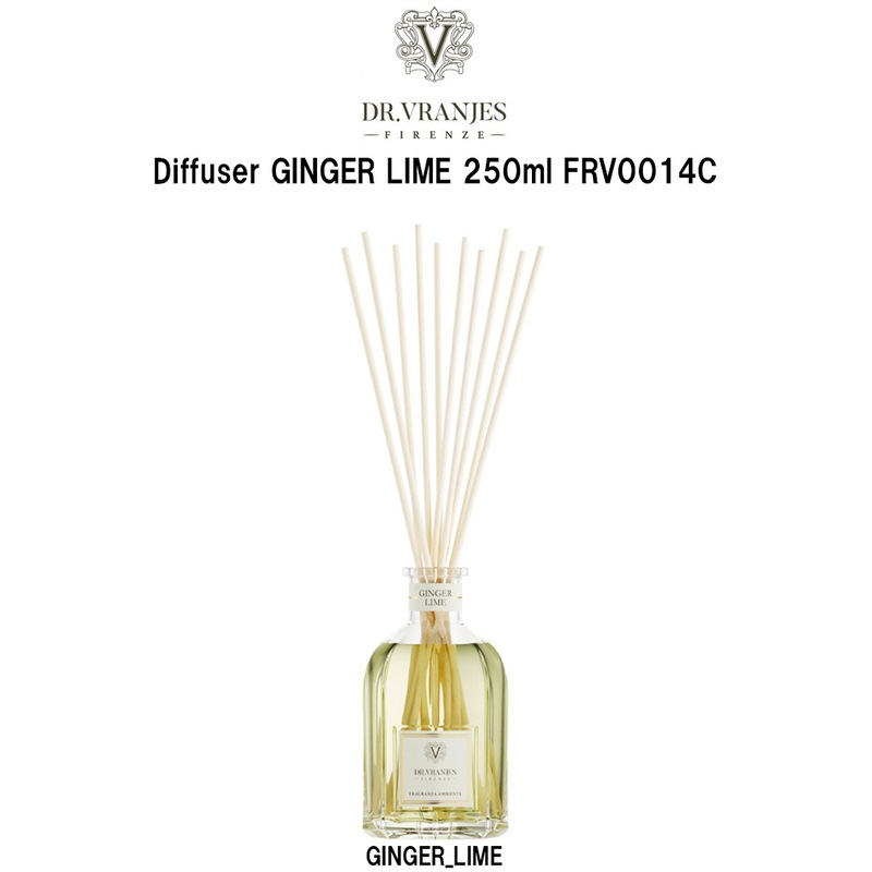 DR.VRANJES(ドットール・ヴラニエス)リードディフューザー ルームフレグランス スティック ジンジャーライム 250ml インテリア GINGER LIME FRV0014C