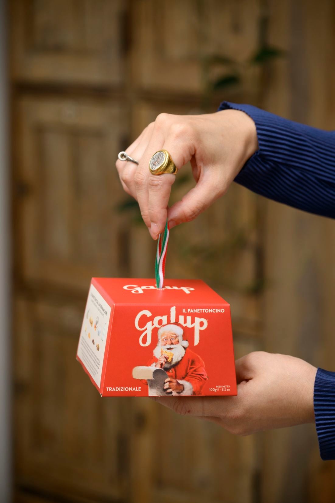 Galup(ガルップ)【パネットーネ】2025_トラディショナル100g　ギフト/クリスマス/ケーキ