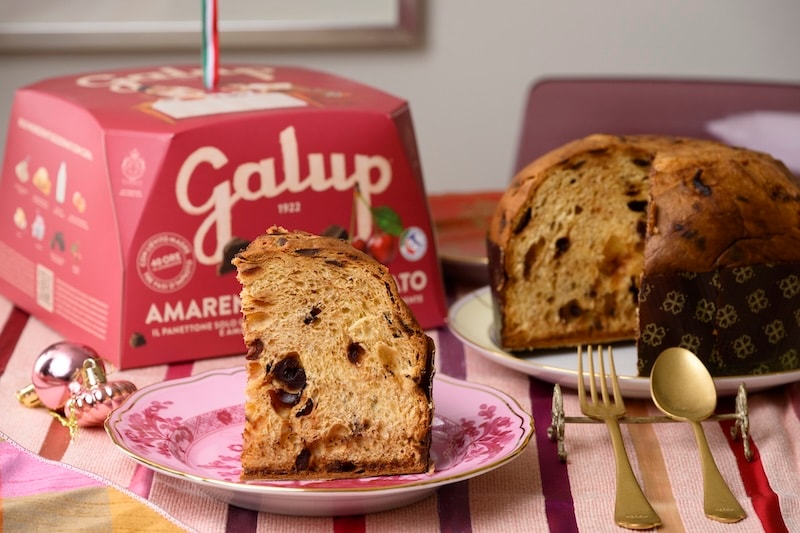 Galup(ガルップ)【パネットーネ】2025_アマレーナとダークチョコレート750g