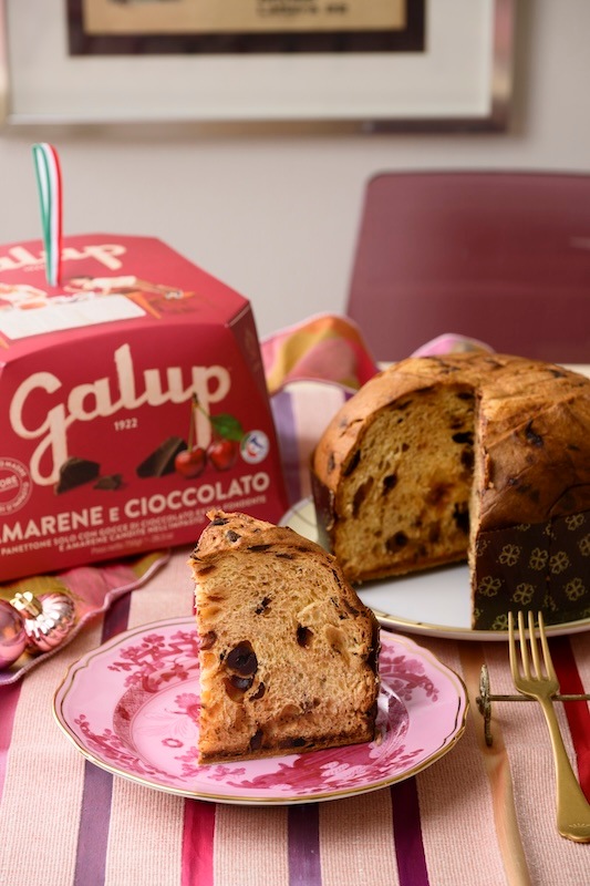 Galup(ガルップ)【パネットーネ】2025_アマレーナとダークチョコレート750g