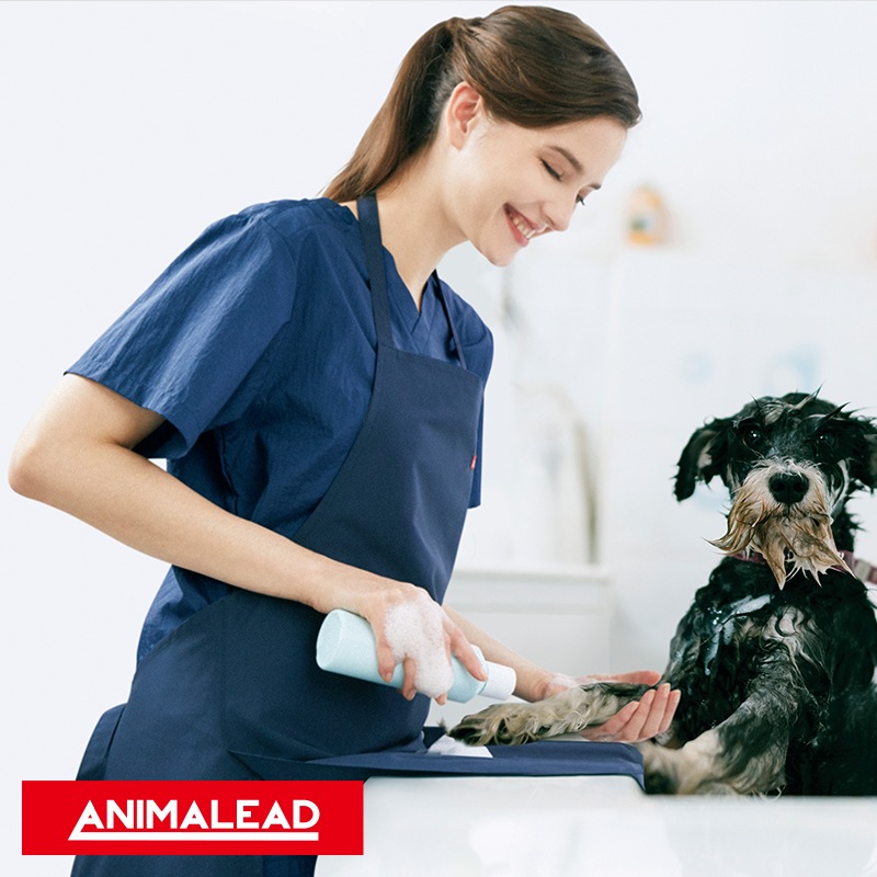 �ȥ�ޡ����ץ��� [�˽�����] AL-0010 ANIMALEAD ���˥ޥ꡼��