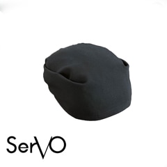 �Ѥ껰�Ѷҡ��˽����ѡ� AC-113 SerVo ��������