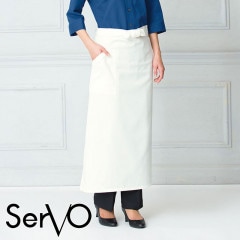 ץ [˽] AP-084 SerVo 