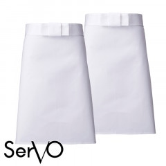 òۡ2ȡĴݡ˽ѡA-34 SerVo 