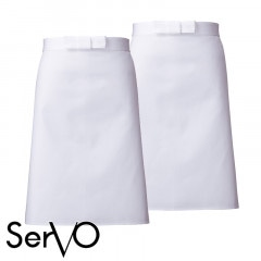 òۡ2ȡĴݡ˽ѡA-68 SerVo 