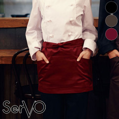���ݡ��˽����ѡ�BA-1541��1542��1543�� SerVo ��������
