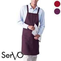 ���ץ�����˽����ѡ�AN-1842��AN-1846 SerVo ��������