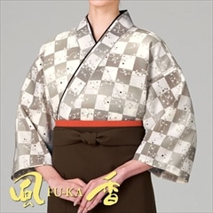 ̳(Ծ¥) [˽] SJ-4055