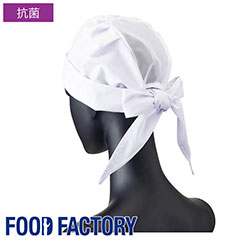 Ѷҷ˹ (å) FA-66 ʹ 