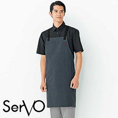 ƥץ [˽]  SBPU-2004 SerVo 