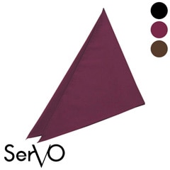 Ѷ [˽] G-5315(G-5318 G-5319) SerVo 