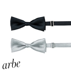 ĳ�ͥ����� AS-02 arbe ����� CHITOSE ���ȥ�