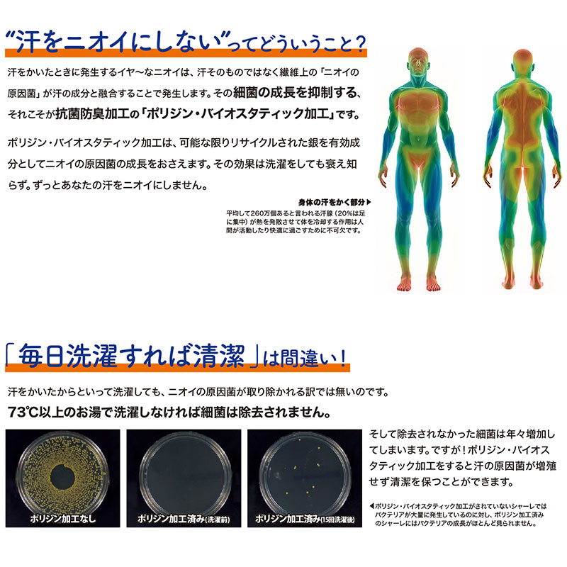  磻ɥ顼˥å Ⱦµ [˽] 77-FB4560U Բġ