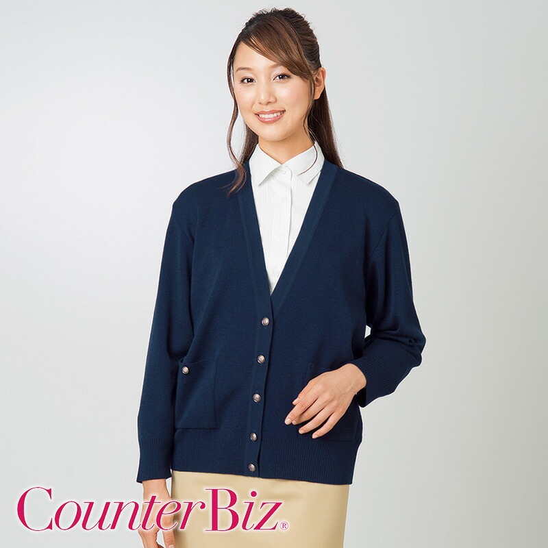 �����ǥ����� [������]��8173 CounterBiz �����󥿡��ӥ�