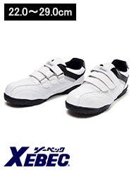 եƥ塼 [˽]85404 [XEBEC ٥å] [ʡԲ]