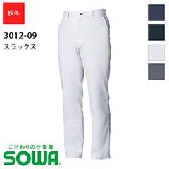 å 3012-09  [˽] [SOWA  ]