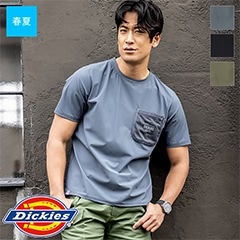 ȾµT D-787 [Dickies ǥå] [˽] [ղ]