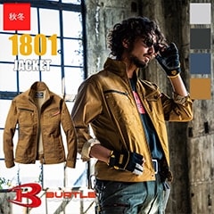 㥱å 1801 BURTLE Сȥ [ʡԲ