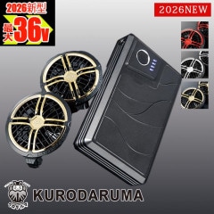��Ĵ����� �� 36V �Хåƥ꡼�����顼�ե���ե륻�åȡ� ��ư�ե����դ��������� �ե��󡦥Хåƥ꡼�ե륻�å� KS-300-1 ��������� [���ʡ����Բ�]