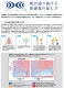 �� ��Ĵ��&reg; �ѥ�ե��󥹥����������å��դ� �ۥ٥��� ��Ǯ�ա����դ����켰���å� [�˽�����] XE98024-SET �����̥Хåƥ꡼ ��®�����ץ��� �ե����դ� [XEBEC �����٥å�] [���ʡ����Բ�]