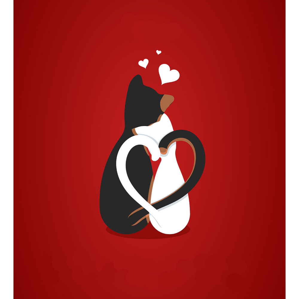 【選べるバレンタイン＆ホワイトデーパッケージ】12種類のルイボスバラエティーギフト