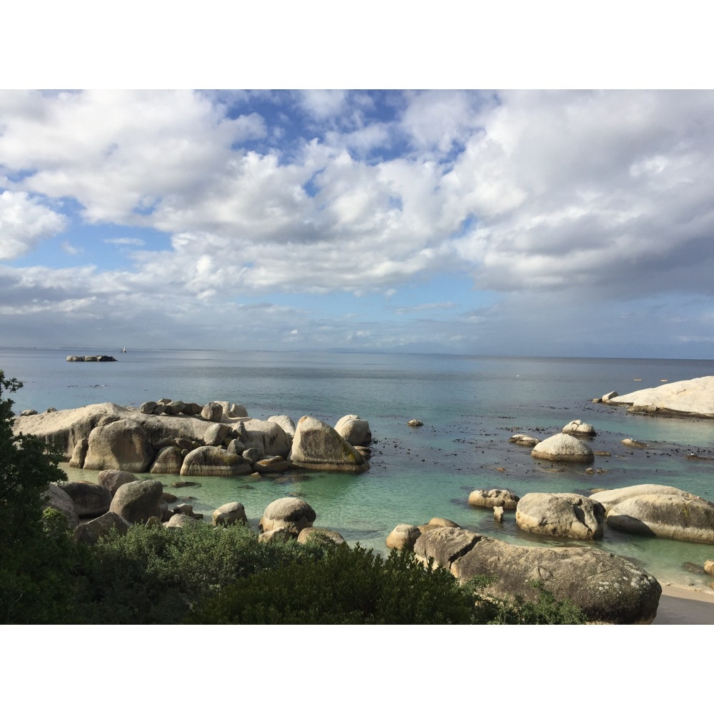 ルイボスティーリーフ 茶葉100g オーガニック　スーパーグレード