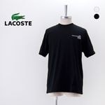 LACOSTE 饳  ǥ󥹥ХåץTġTH9880-99ϡ2025SS