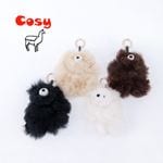 COSY �������� BEAR�Хå����㡼���KH-EV-SB�ϡ�2025FW��