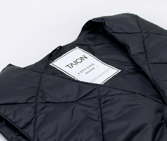 TAION �������� ��� ���󥰥� �����󥸥��TAION-003CI�ϡ�BASIC��