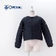 SOLDOUTORCIVAL Х ǥ 饤ȥ֥륾OR-A0404DPLϡ2023FW
