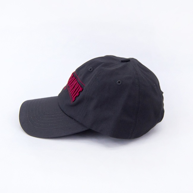 SALE 40%OFFTHE SHINZONE 󥾡 ǥ SFͥޥåס25SMSIT08ϡ2025SSۡʸԲġ