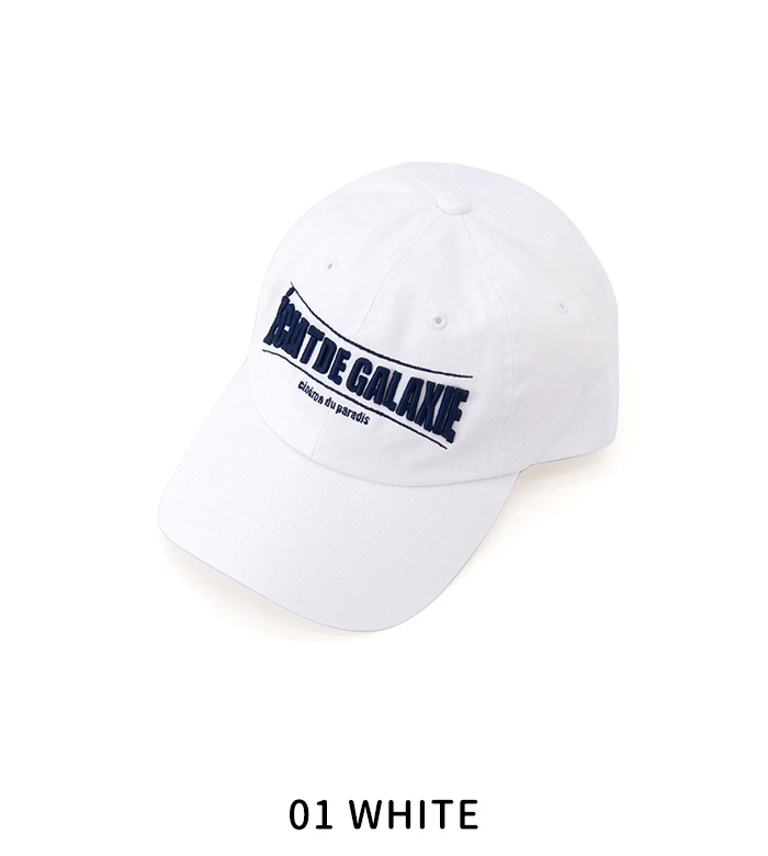 SALE 40%OFFTHE SHINZONE 󥾡 ǥ SFͥޥåס25SMSIT08ϡ2025SSۡʸԲġ