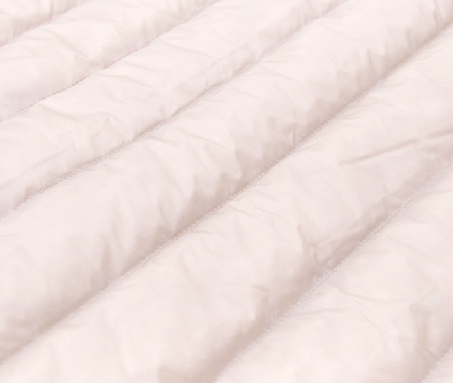 DANTON ȥ ǥ 롼ͥå ʡ٥ȡDT-A0002RRTϡ2025FW