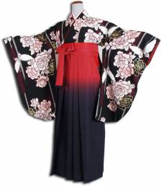 ̵´ȼ󥿥ӥե륻å-798