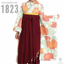 h̵ۡáбĹ157cm165cm´ȼ󥿥ӥե륻å-1823