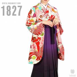 h̵ۡáбĹ157cm165cm´ȼ󥿥ӥե륻å-1827