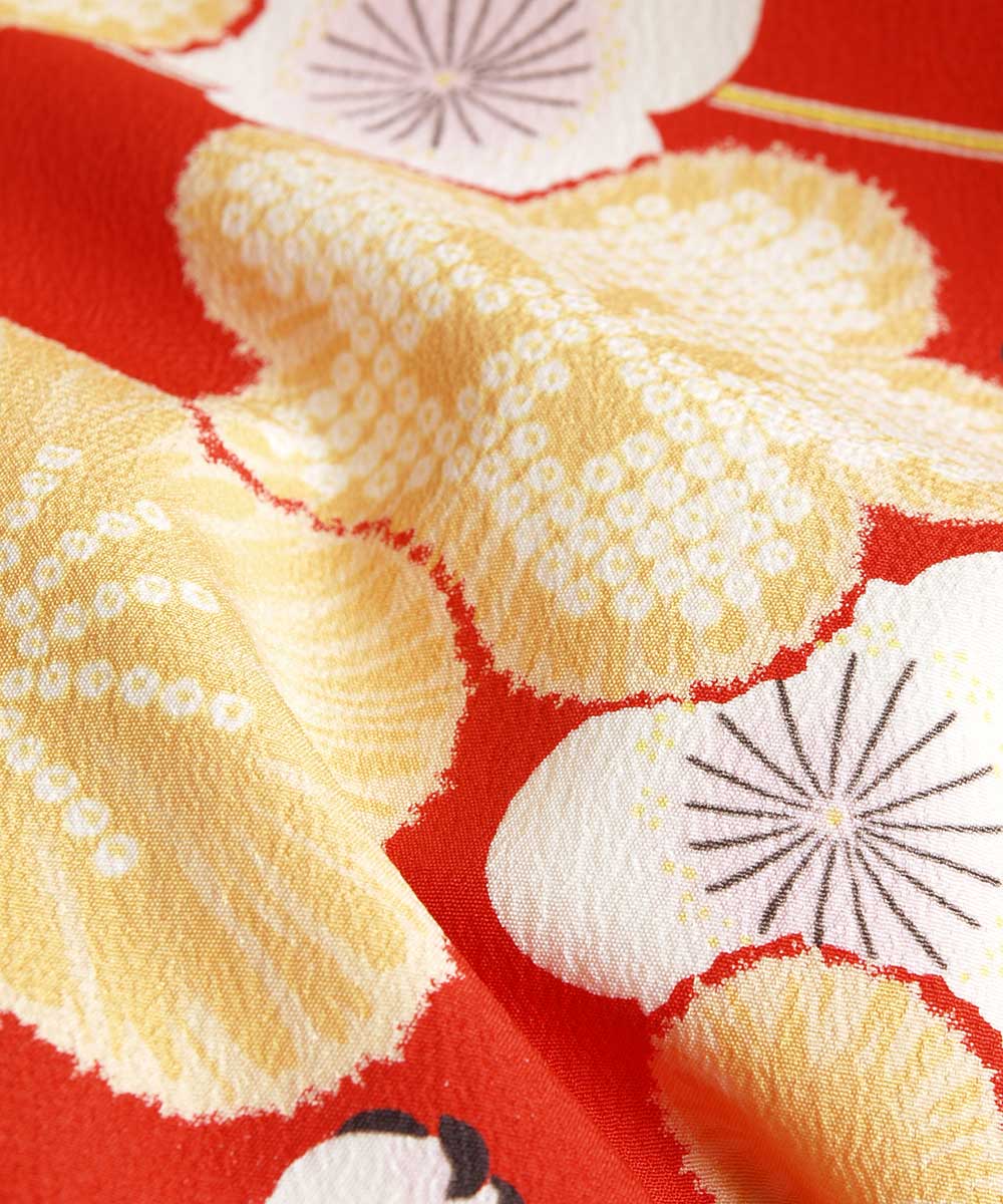 ̵áڥ󥿥ۡͼۿµ󥿥 [¿Ĺ֥󥿥]бĹ150cm165cmۡڹۥ󥿥뿶µ