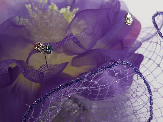 ڥ󥿥뤴ͽ͸ɲåץۥ󥿥ȱ