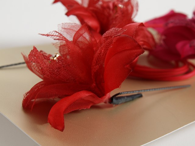 �ڥ�󥿥뤴ͽ����͸����ɲå��ץ����ۥ�󥿥�ȱ����