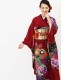 ̵áڥ󥿥ۡͼۿµ󥿥 [¿Ĺ֥󥿥]бĹ150cm165cmۡۥ󥿥뿶µ