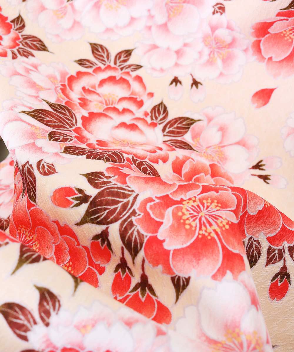 h̵ۡáбĹ157cm165cmۡɡ´ȼ󥿥ӥե륻å-803åޥ顼òòå󥸡С