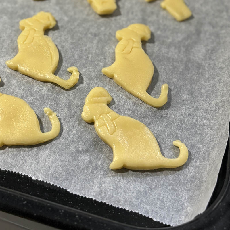 Birkmann Сޥ å ƥ쥹ȴ ɥ