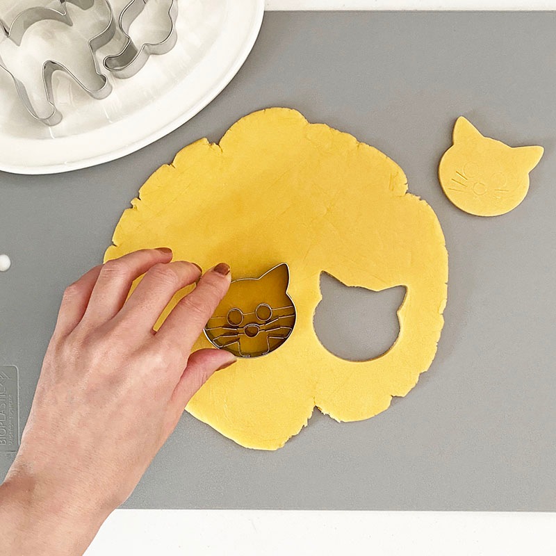 Birkmann Сޥ å ƥ쥹ȴ ɥ