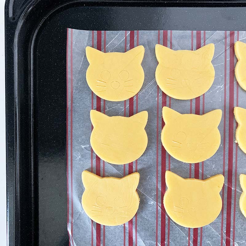 Birkmann Сޥ å ƥ쥹ȴ ɥ