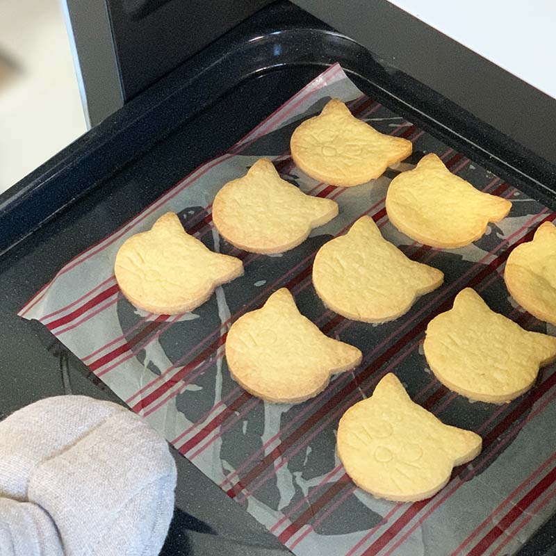 Birkmann Сޥ å ƥ쥹ȴ ɥ