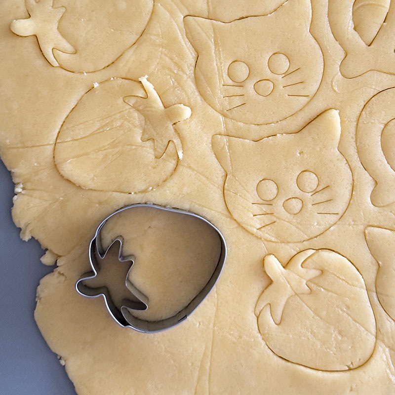 Birkmann Сޥ å ƥ쥹ȴ ɥ